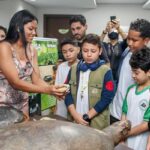 Dia Mundial das Tartarugas é comemorado com exposição no Espaço da Cidadania Ambiental (Ecam)