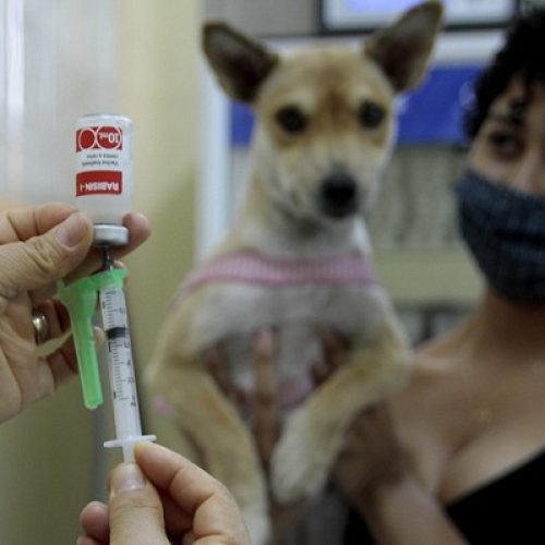 Unidade móvel do CCZ retoma a vacinação antirrábica animal