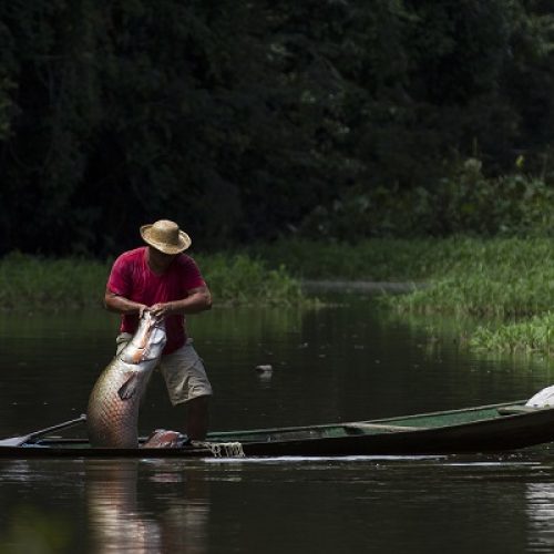 Fotógrafo lança livro sobre desenvolvimento sustentável na Amazônia