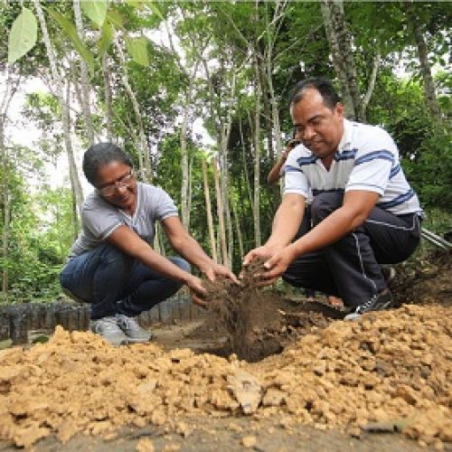 MINICURSO ‘NOÇÕES BÁSICAS DE COMPOSTAGEM’ TEM INSCRIÇÕES ABERTAS