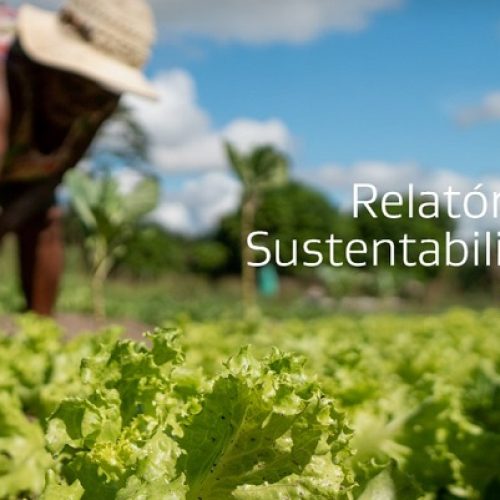 Eneva apresenta Relatório de Sustentabilidade 2020 com ações sociais e iniciativas para redução de emissões