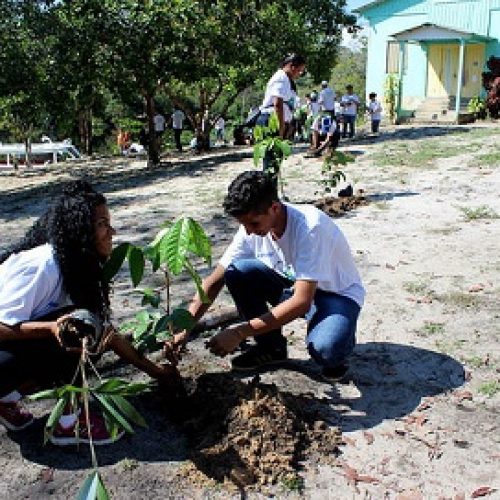 APRENDA A FAZER COMPOSTAGEM: MINICURSO GRATUITO COM INSCRIÇÕES ABERTAS