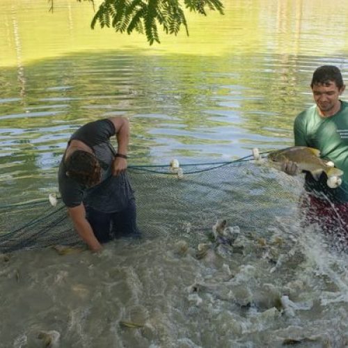 Simpósio Internacional no Inpa discute uso sustentável e tecnologias alimentares para a Piscicultura Familiar na Amazônia