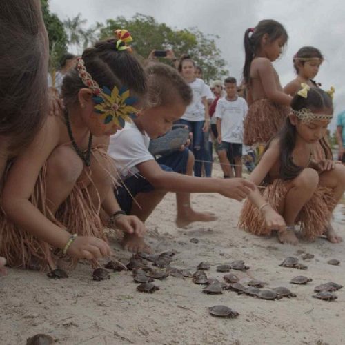 Quelônios são devolvidos à natureza na RDS Puranga Conquista